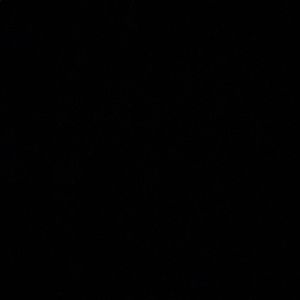 Meet your Posher, Trent